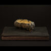 Rhizome_05.26#07
