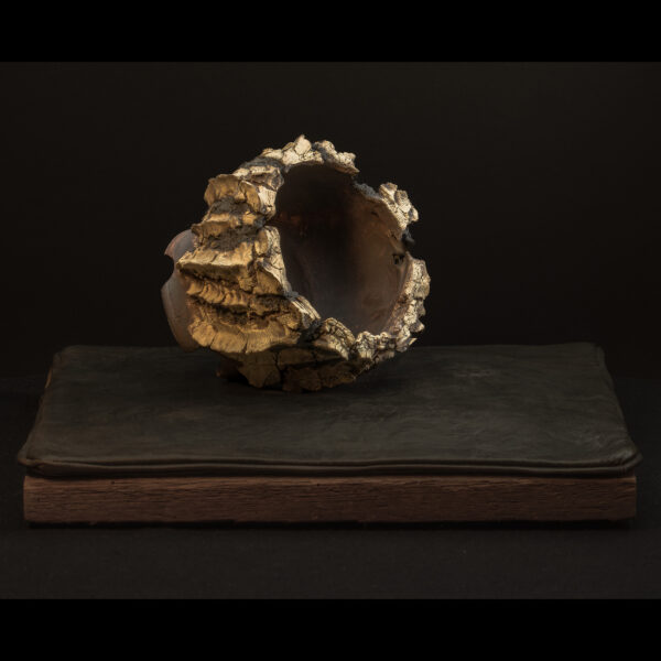 Rhizome_05.26#08