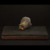 Rhizome_05.26#10