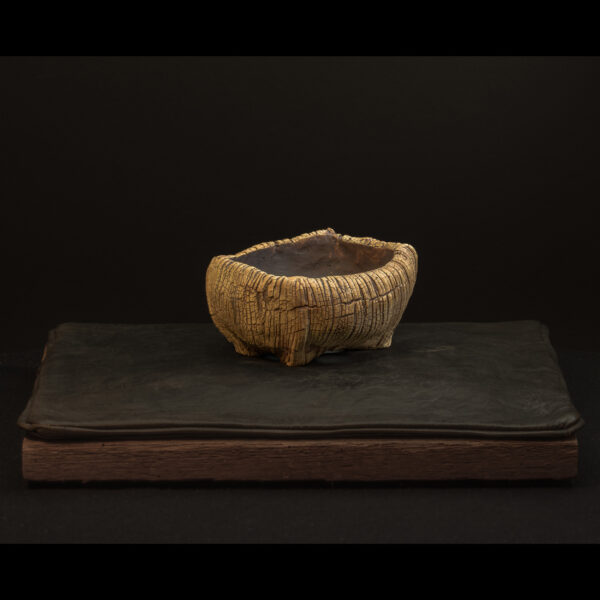 Rhizome_05.26#13