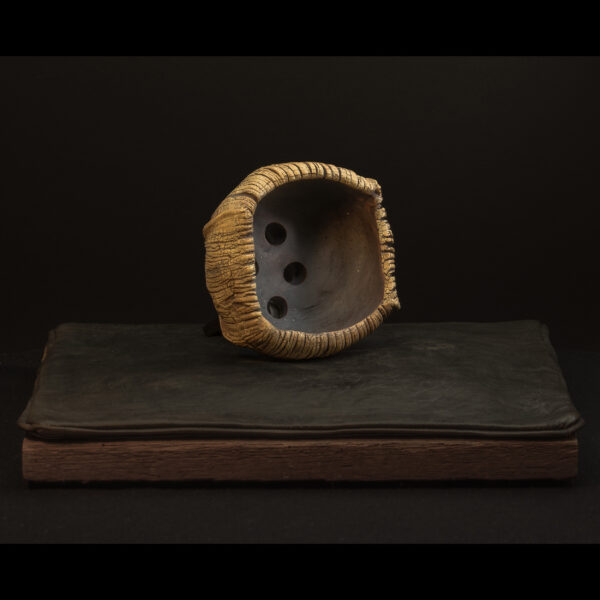 Rhizome_05.26#13