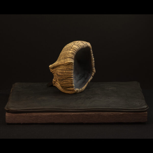 Rhizome_05.26#13