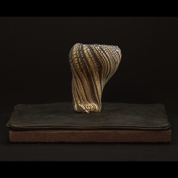 Rhizome_06.26#01
