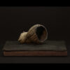 Rhizome_06.26#01