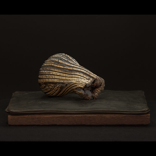 Rhizome_06.26#01