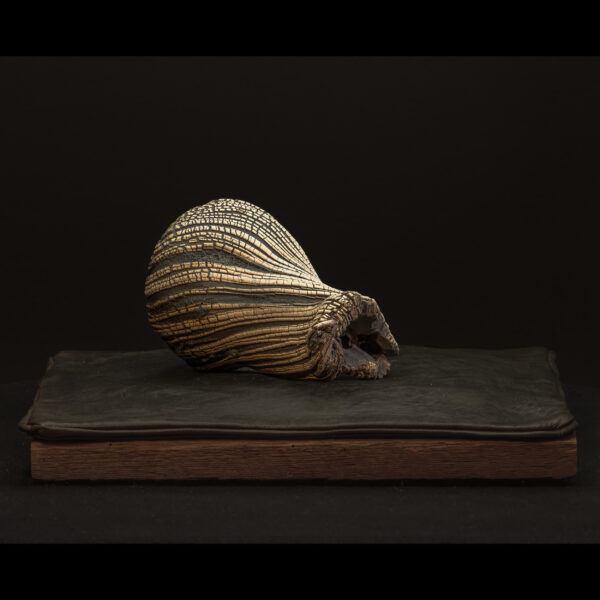 Rhizome_06.26#01