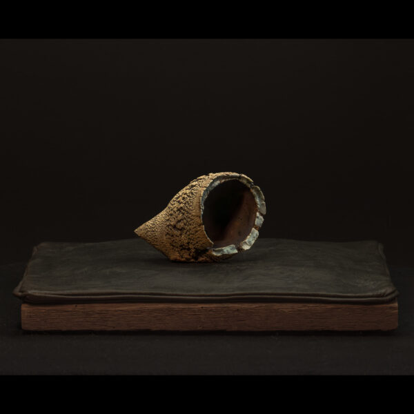 Rhizome_06.26#02