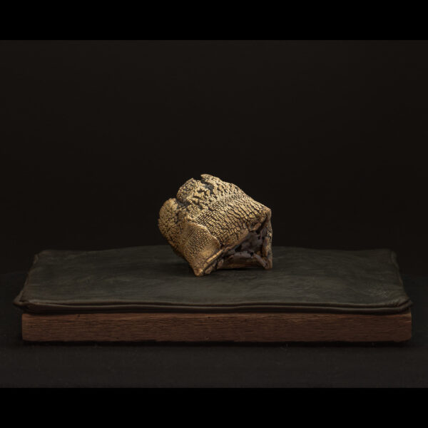 Rhizome_06.26#02