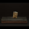 Rhizome_06.26#03