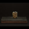 Rhizome_06.26#03
