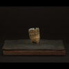 Rhizome_06.26#03