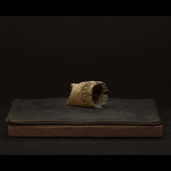 Rhizome_06.26#03