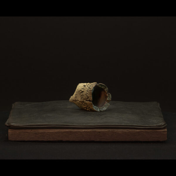 Rhizome_06.26#03