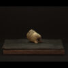 Rhizome_06.26#03