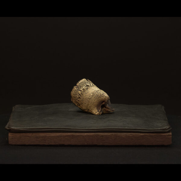 Rhizome_06.26#03