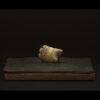Rhizome_06.26#03