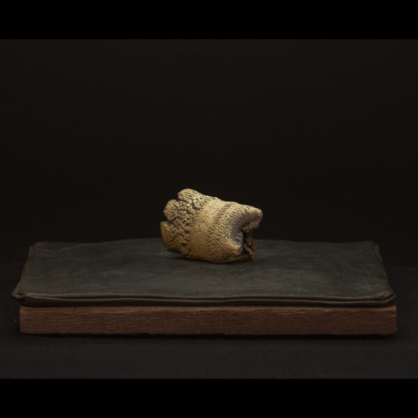 Rhizome_06.26#03